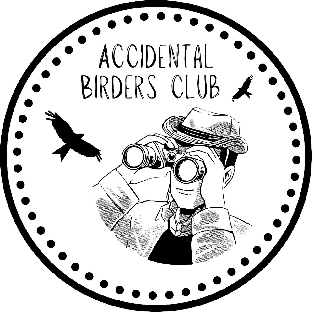 Accidental Birders Club ~ 3" Round Sticker (ANY 3 for $10)